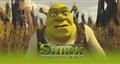 SHREK MOD.SH163 COL.ORANGE